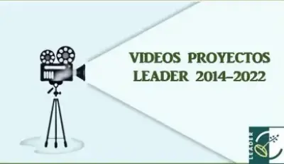 VIDEOS PROYECTOS LEADER